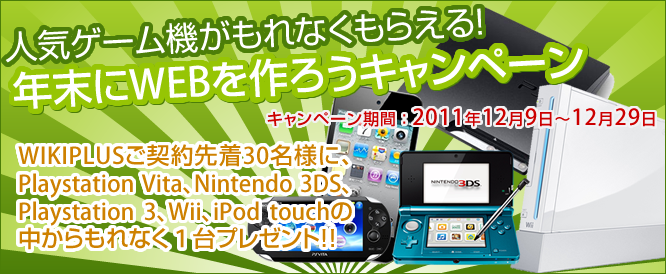 2011campaign_title.png