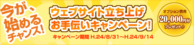 ウェブサイト立ち上げお手伝い！キャンペーン